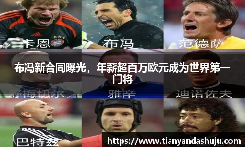 bsports登录入口