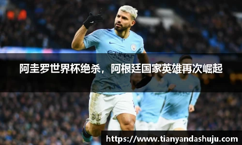 Bsports网页版