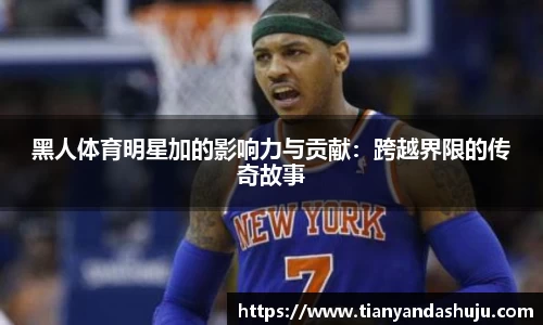 bsports登录入口