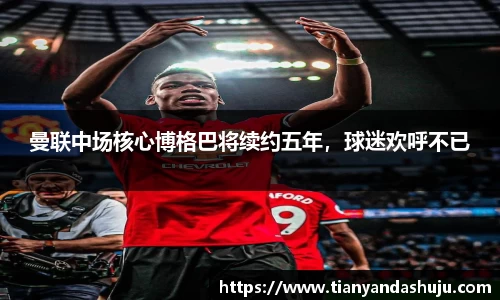 bsports登录入口