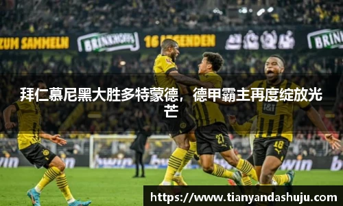 bsports官网入口