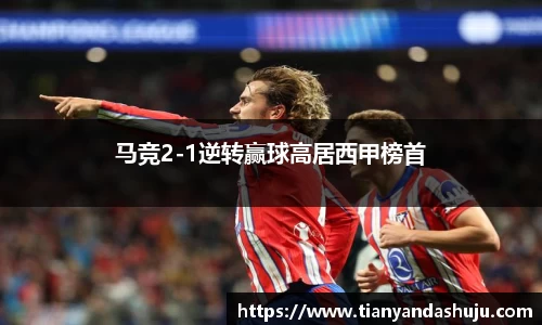 Bsports网页版