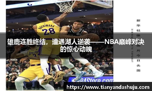 bsports