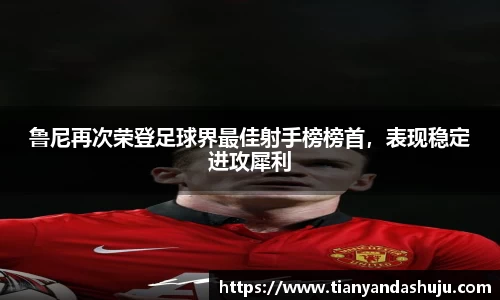 bsports登录入口