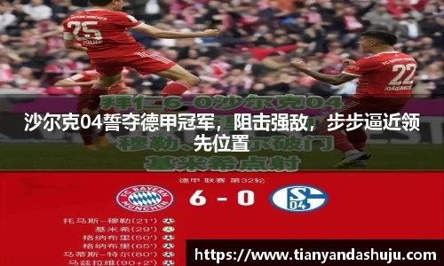 Bsports网页版