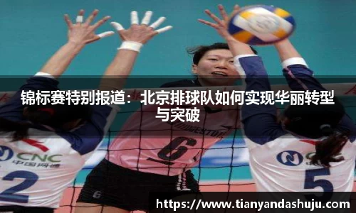 bsports登录入口