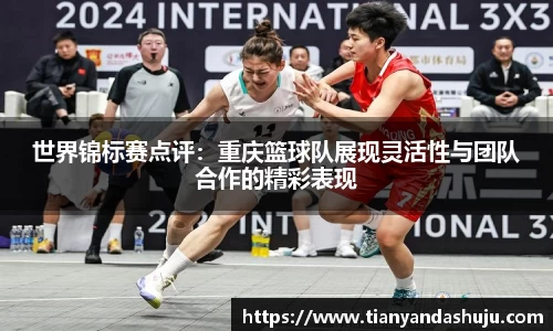 bsports登录入口