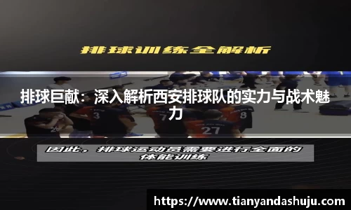 bsports官网入口