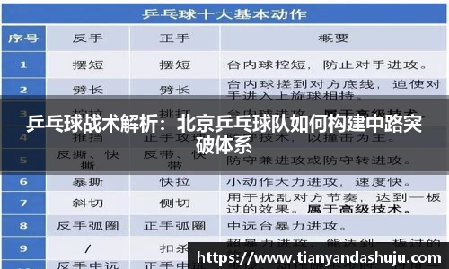 bsports登录入口
