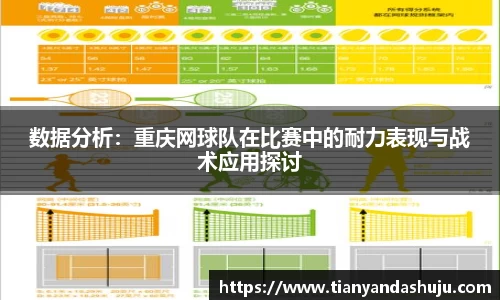 bsports官网入口