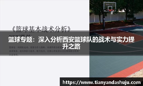 Bsports网页版