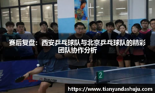 Bsports网页版
