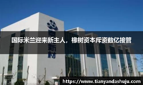 bsports登录入口