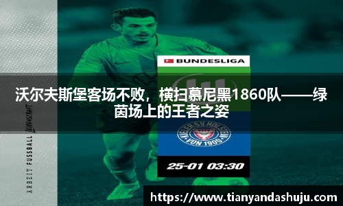 Bsports网页版