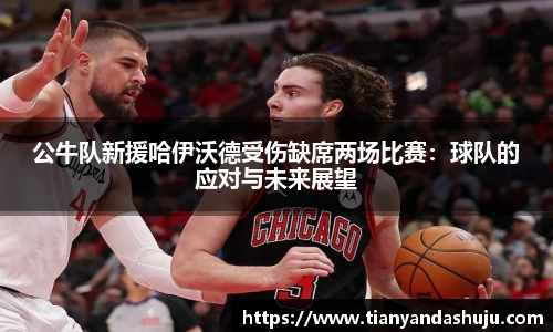 bsports官网入口