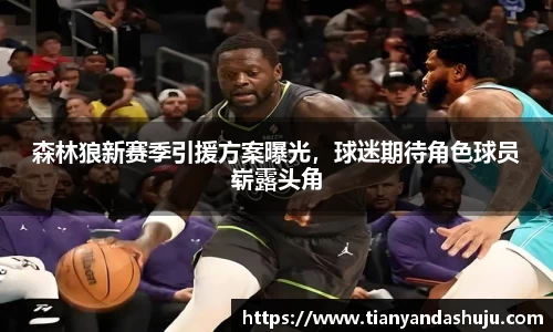 bsports官网入口