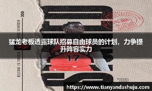 猛龙老板透露球队招募自由球员的计划，力争提升阵容实力