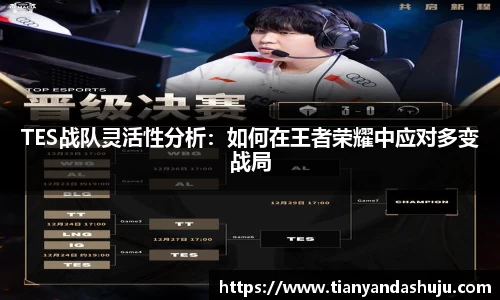 TES战队灵活性分析：如何在王者荣耀中应对多变战局