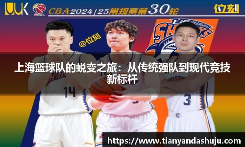 bsports登录入口