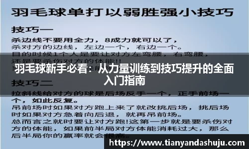 bsports登录入口