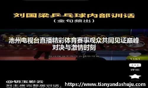 池州电视台直播精彩体育赛事观众共同见证巅峰对决与激情时刻