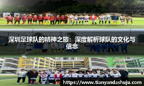 深圳足球队的精神之旅：深度解析球队的文化与信念