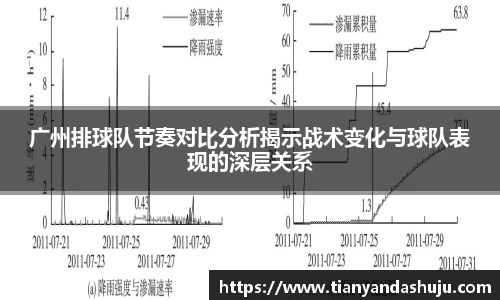 bsports登录入口