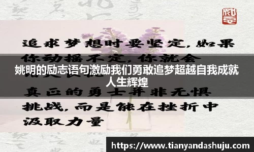 bsports登录入口