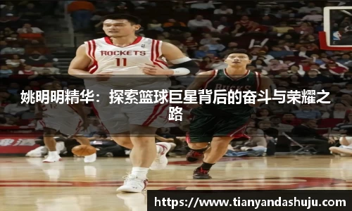 bsports官网入口