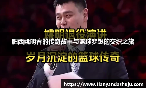Bsports网页版