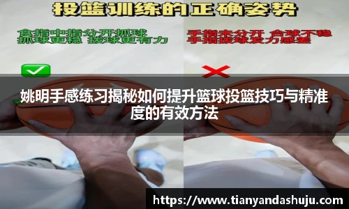 bsports登录入口