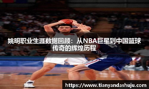bsports登录入口