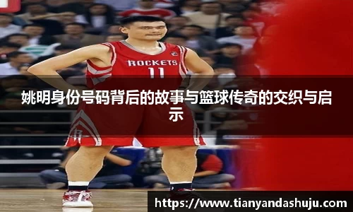 bsports官网入口