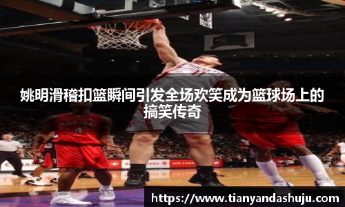 bsports登录入口