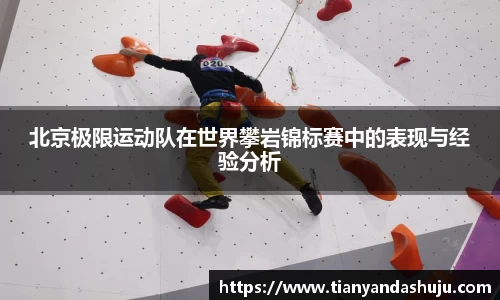 bsports登录入口
