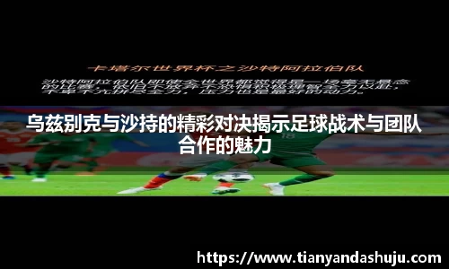 bsports官网入口