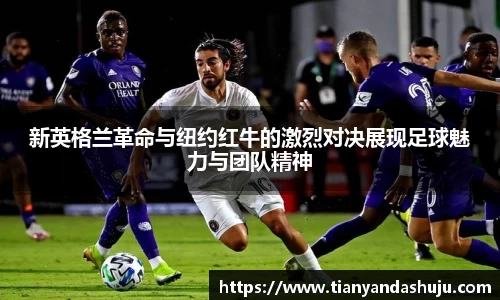 Bsports网页版