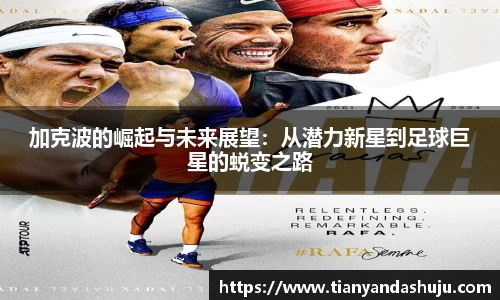 Bsports网页版