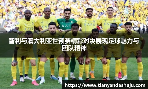 bsports登录入口
