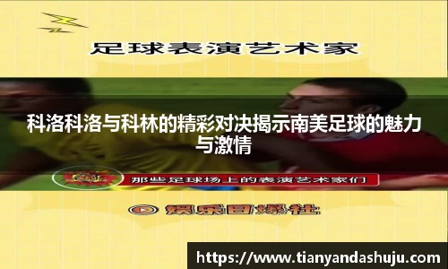 bsports官网入口