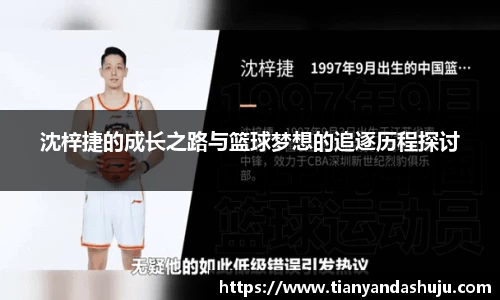 Bsports网页版