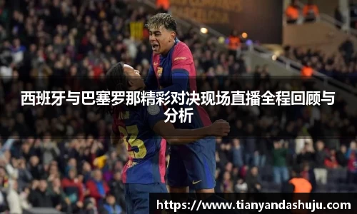 bsports官网入口