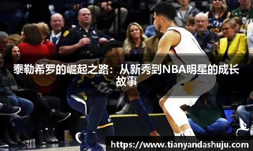 bsports官网入口