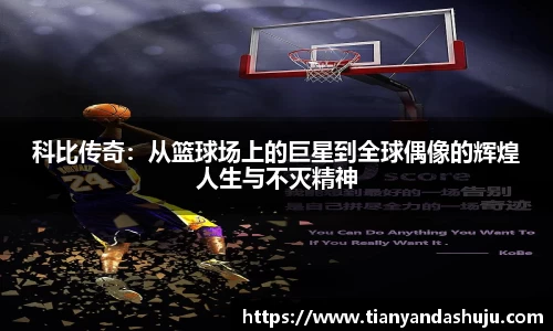 Bsports网页版