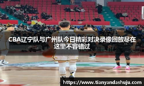 bsports官网入口