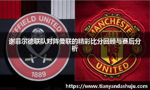 bsports登录入口