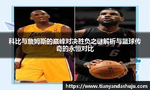 bsports登录入口