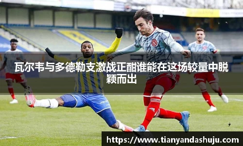 bsports登录入口