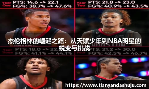 bsports登录入口
