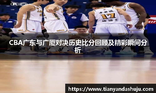 bsports登录入口